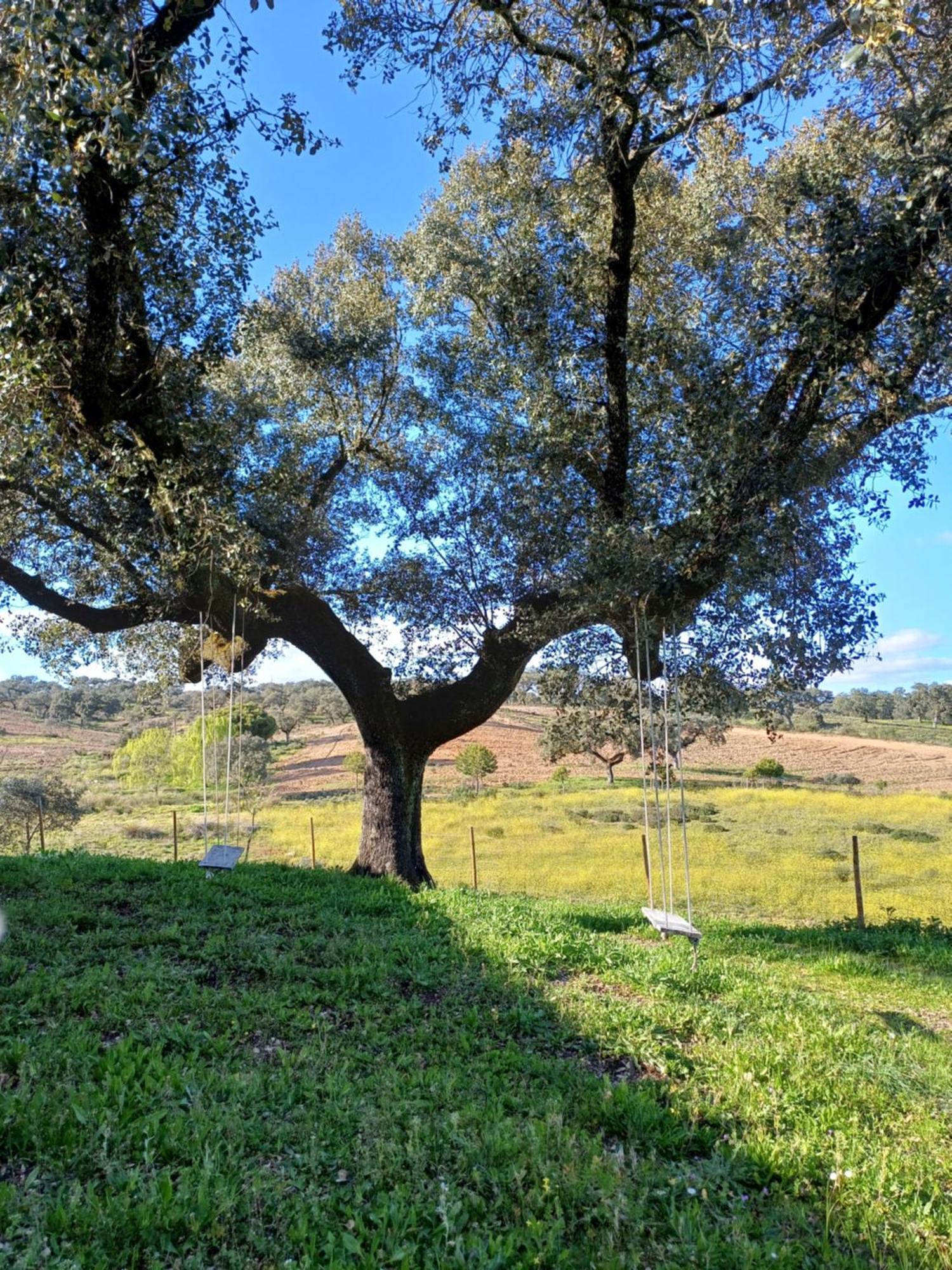 Monte Da Fonte Santa De Sao Luis Pensionat Castelo Branco  Eksteriør billede
